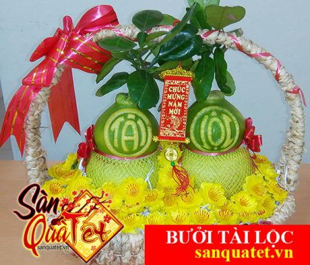 buoi-ho-lo-tai-loc-gia-si