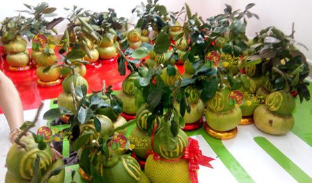 buoi-ho-lo-tai-loc-loai-1-dia-chi-ban-buoi-ho-lo-gia-re-tphcm-min