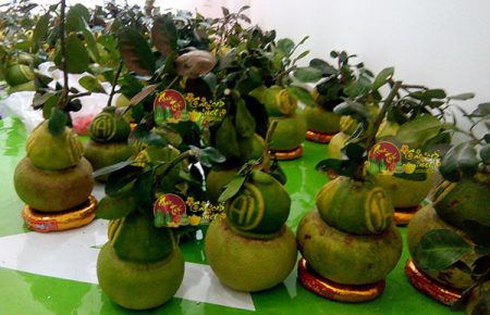 buoi-ho-lo-tai-loc-loai-2-dia-chi-ban-buoi-ho-lo-tai-loc-gia-re-o-sai-gon-min